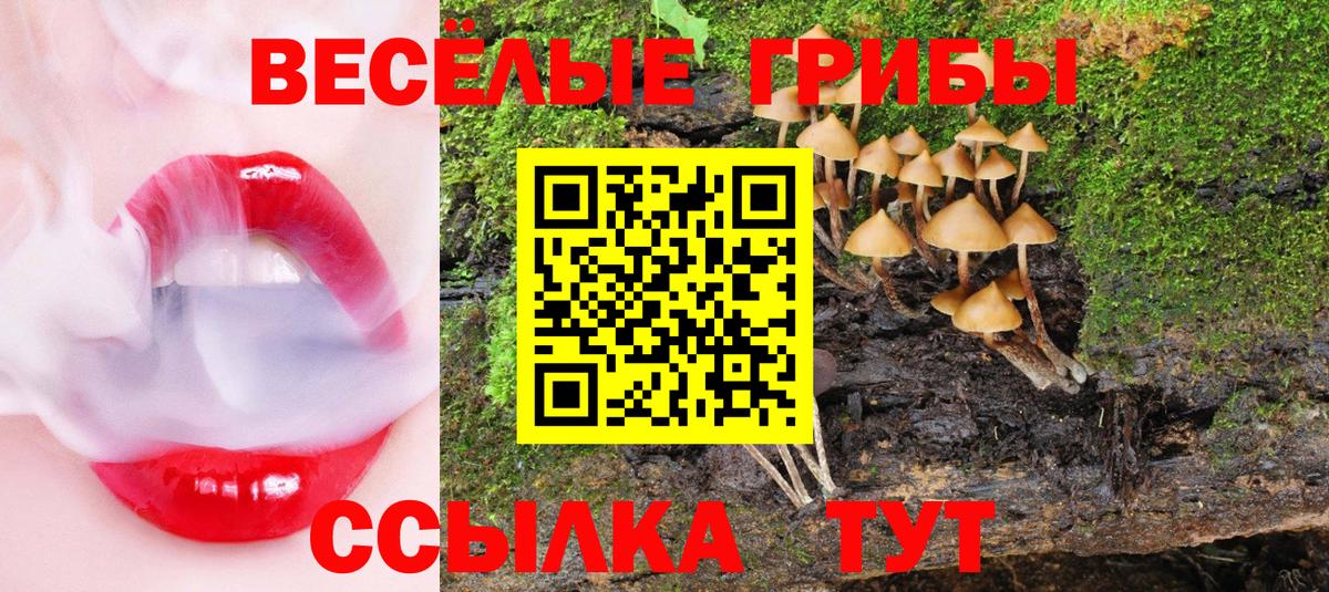 Альметьевск  Псилоцибиновые грибы Magic Shrooms  Псилоцибиновые грибы MAGIC MUSHROOMS  Вход с VPN 