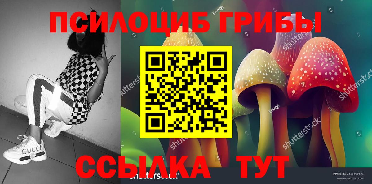Псилоцибиновые грибы прущие грибы Альметьевск